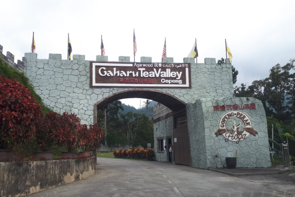 tempat menarik gaharu valley