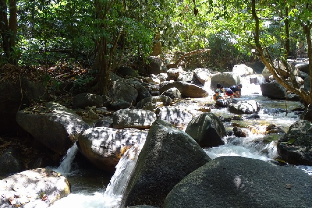 tempat menarik taman rimba