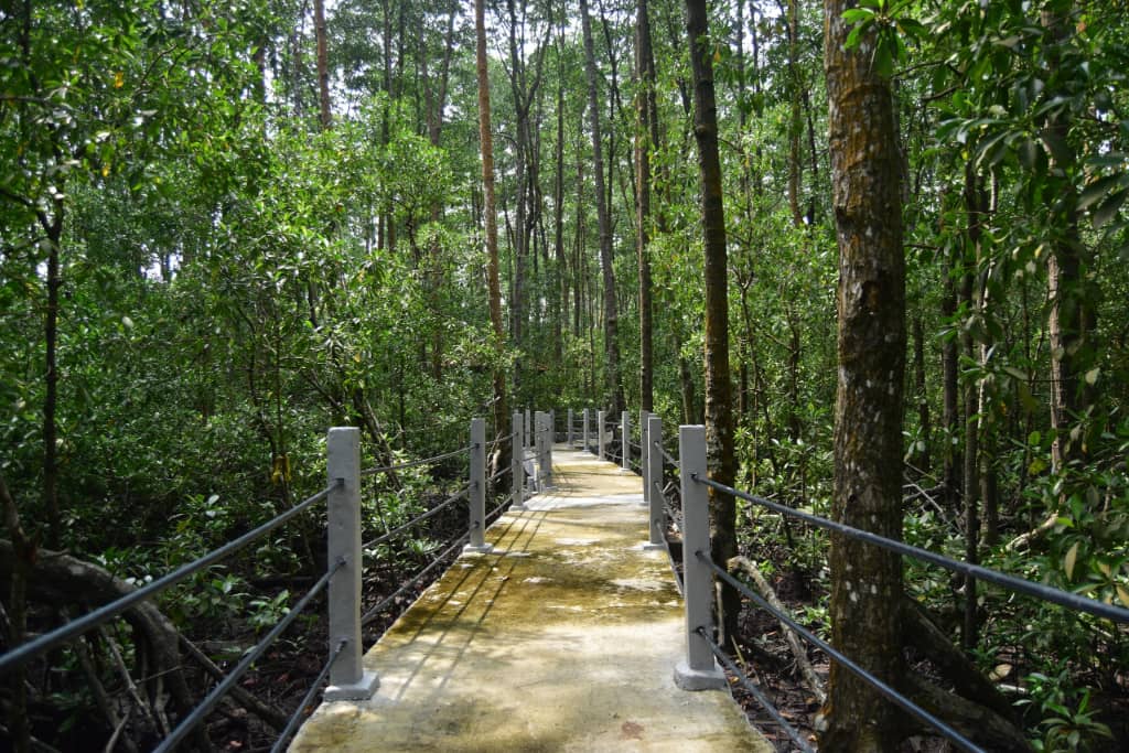tanjung-piai-Pontian-1
