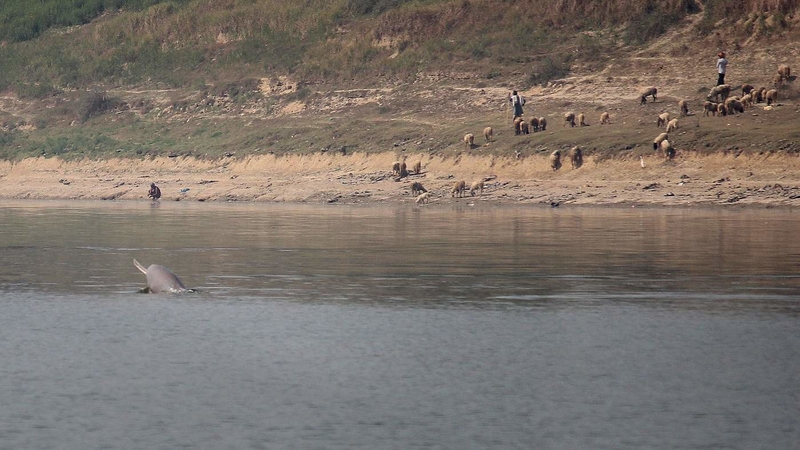 ganges14