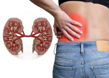 Air Kencing Berbuih Tanda Awal Sakit Buah Pinggang