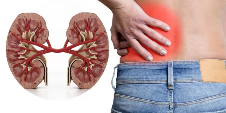 Air Kencing Berbuih Tanda Awal Sakit Buah Pinggang