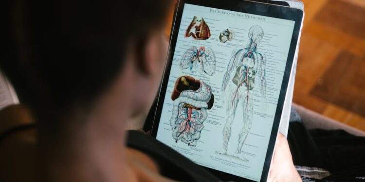 Dari Otak ke Jantung: 11 Fakta Menarik Tentang Tubuh Manusia