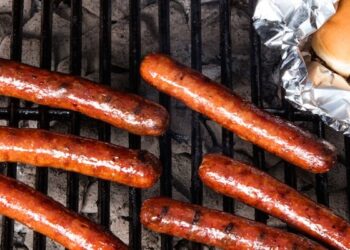 Perbezaan Hotdog, Sosej Dan Frankfurter