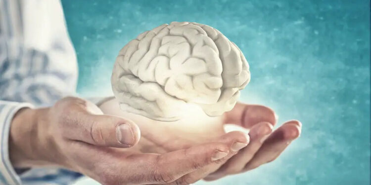 Fakta Psikologi Menarik