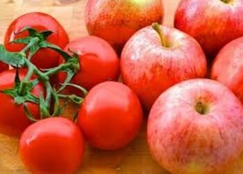 Tomato dan Epal untuk Paru-Paru