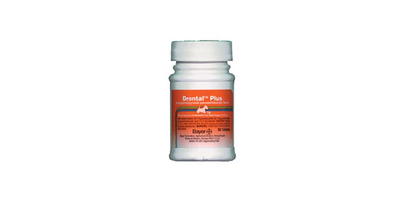 drontal plus