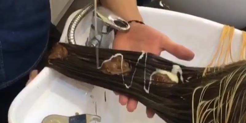 Nutella Sebagai Pewarna Rambut