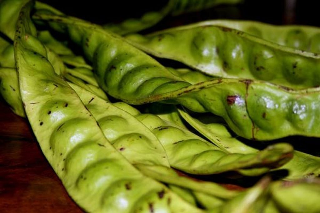 khasiat makan petai