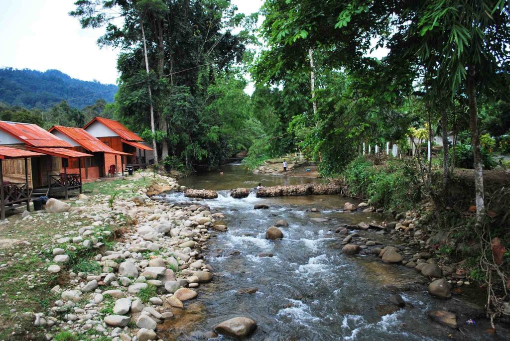 Pemandangan di D' River Resort /