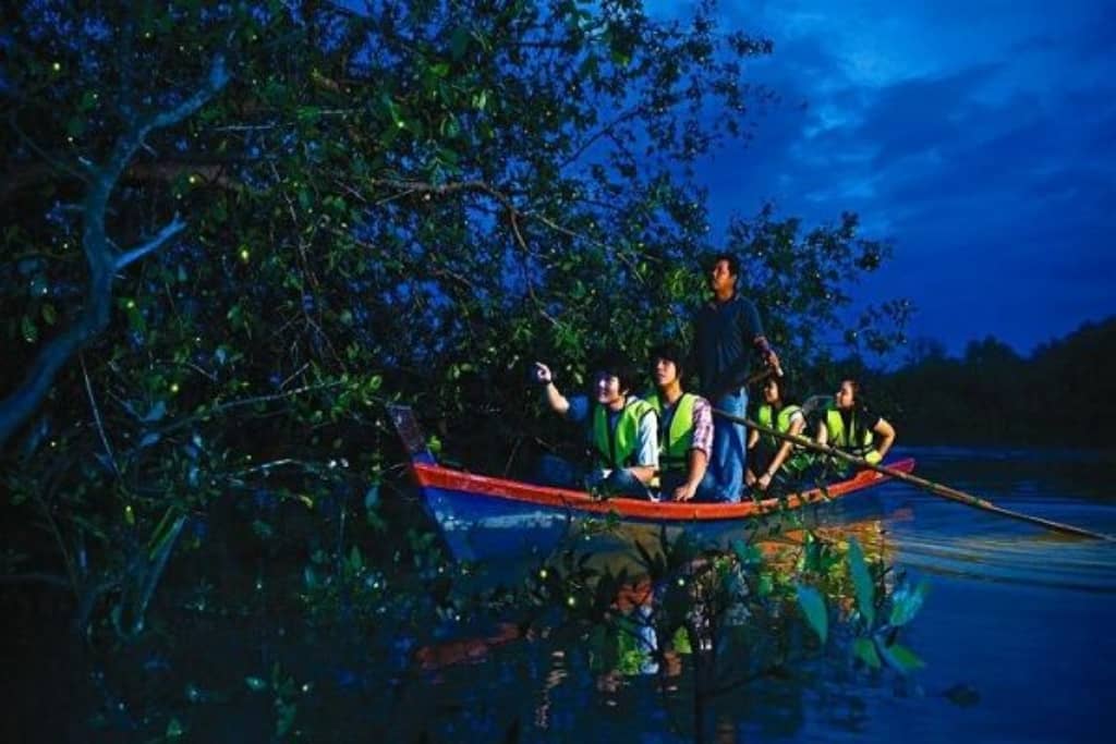 Kuala-Selangor-Fireflies