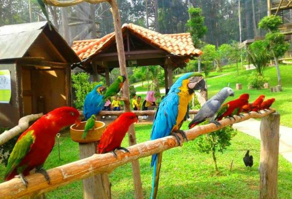 Taman-Burung-Melaka