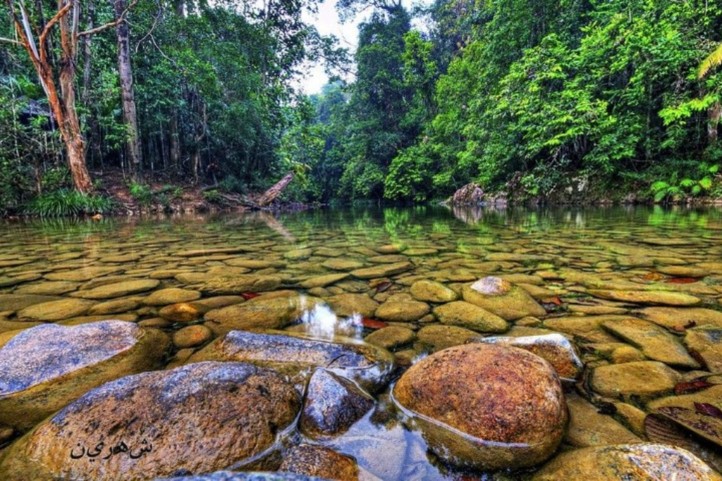Tempat-Menarik-di-Pahang-Taman-Negara-Endau-Rompin
