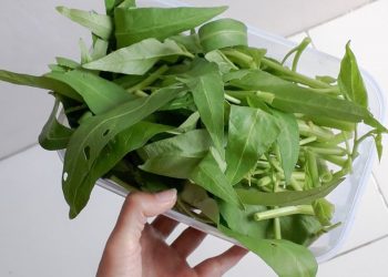 Tidak Hanya Rasa Mengantuk, Ini Bahaya Makan Kangkung Waktu Sahur