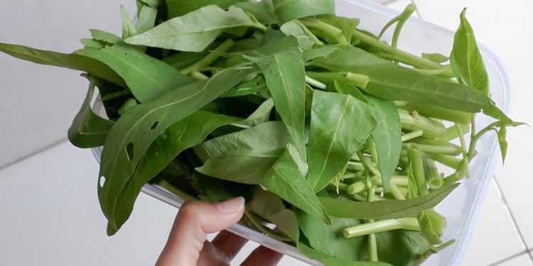 Tidak Hanya Rasa Mengantuk, Ini Bahaya Makan Kangkung Waktu Sahur