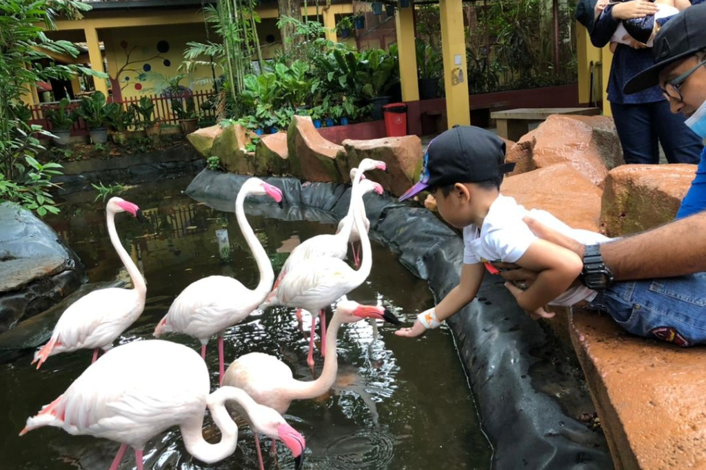 bird-park-langkawi