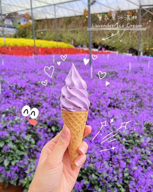 lavender aiskrim yang sedap di lavender garden terkini 2022