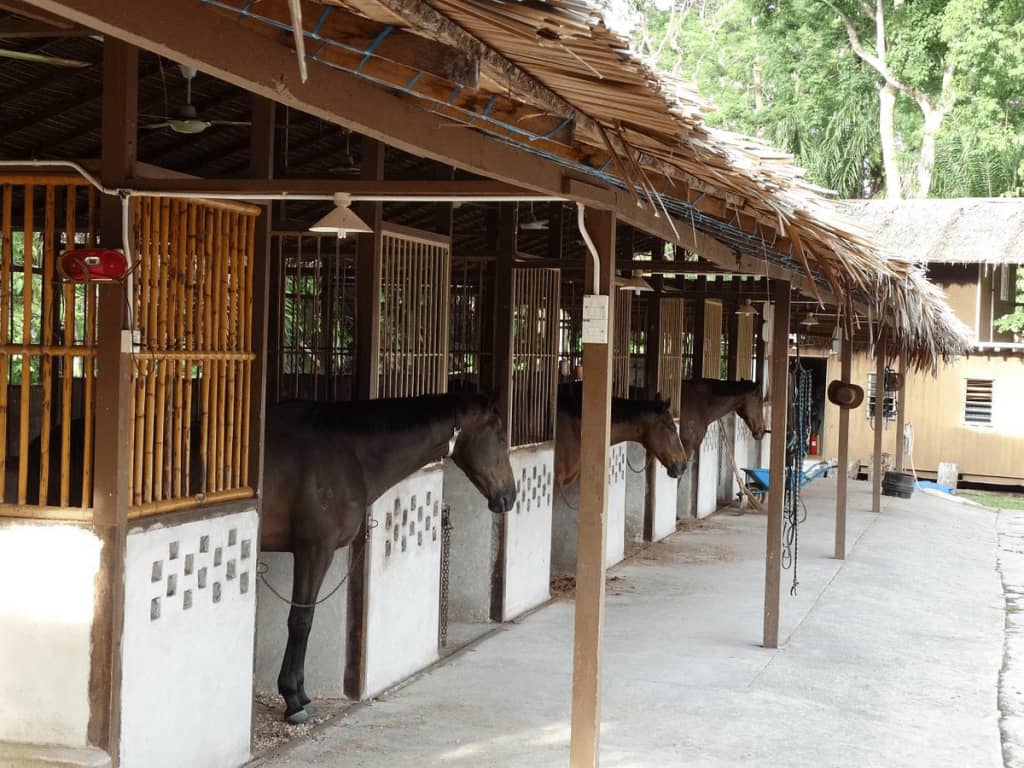 taiping equine park