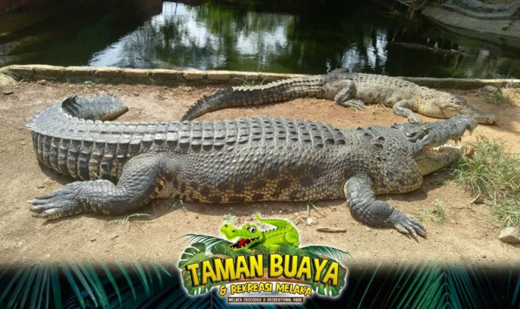 taman-buaya-di-Melaka