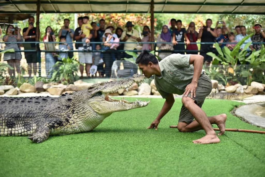 taman buaya langkawi