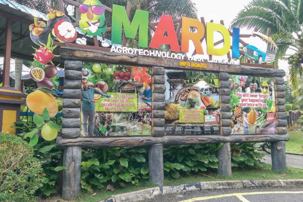 taman mardi langkawi terkini