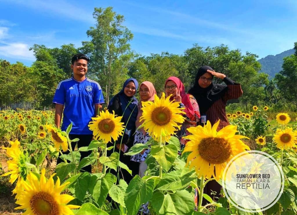 taman matahari di taman ular perlis