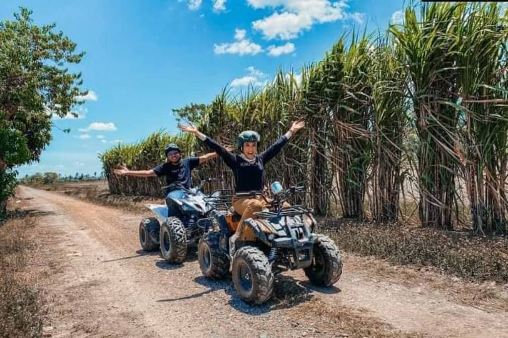 Batas Ubi DEER Farm atv