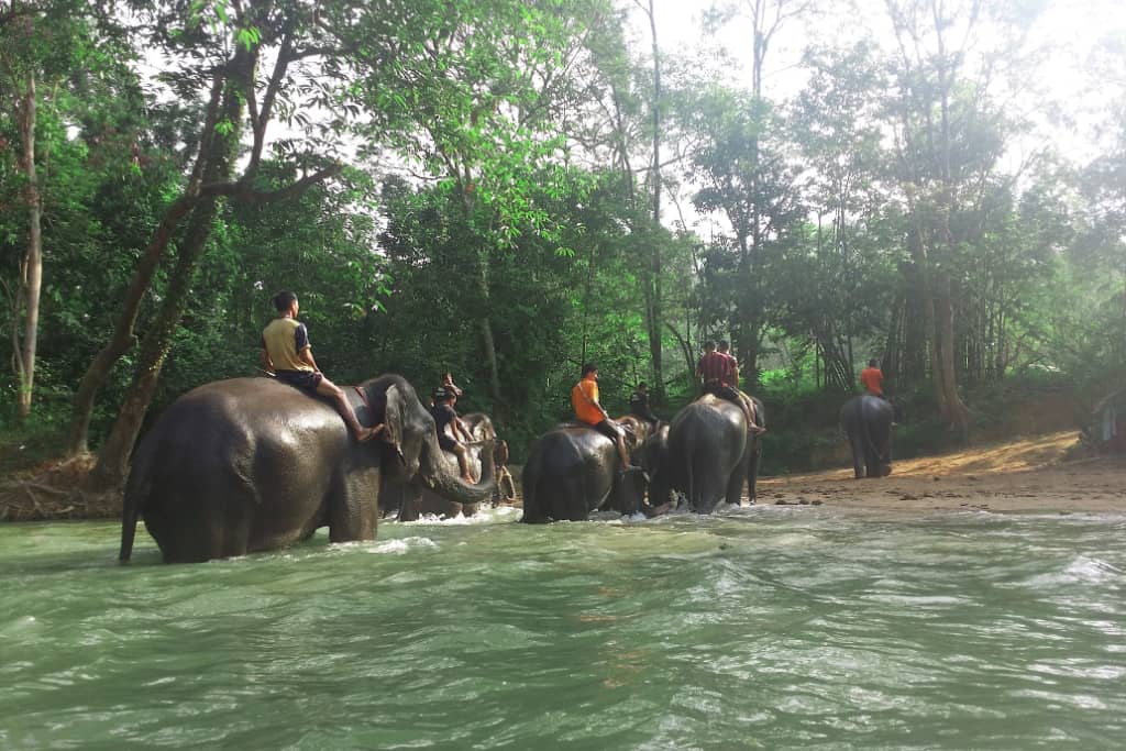 Kenyir Elephant Conservation Village