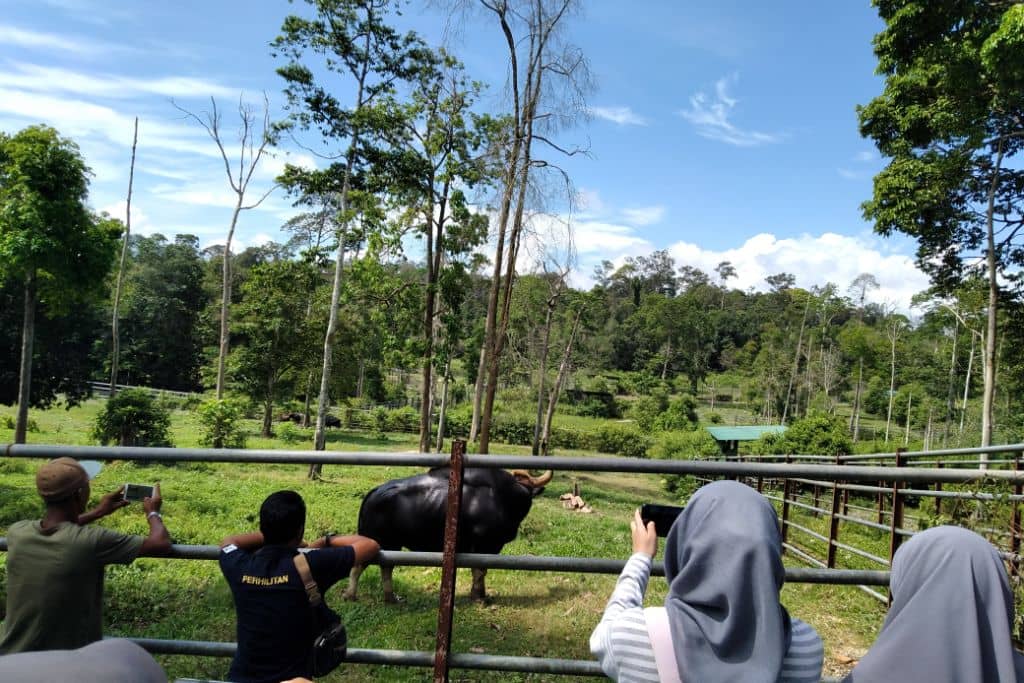 Pusat Pemuliharaan Seladang