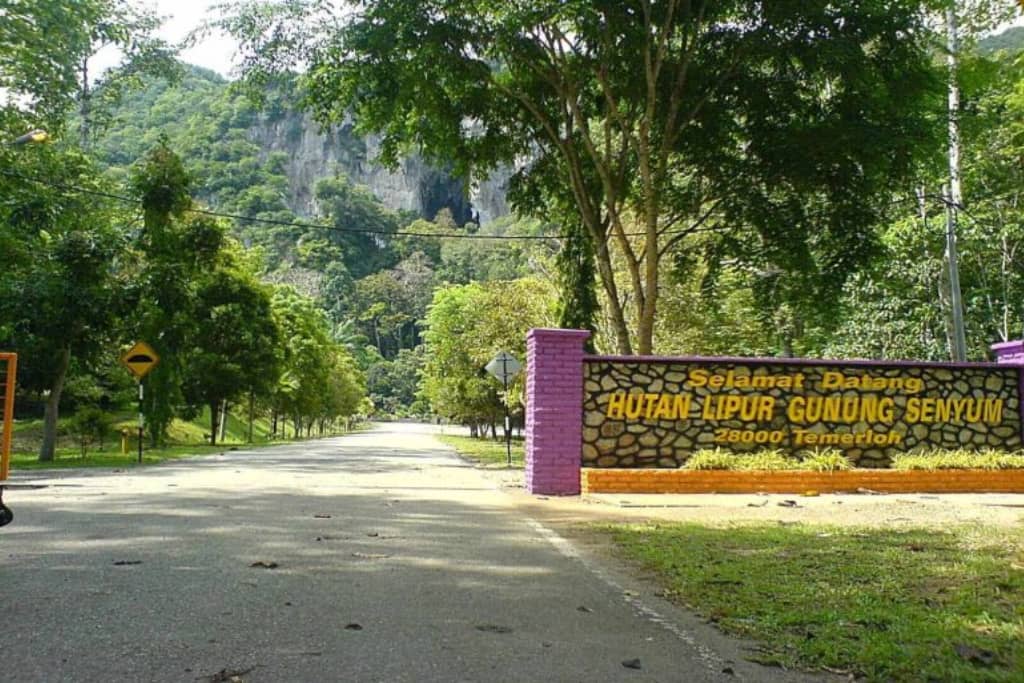 hutan lipur gunung senyum