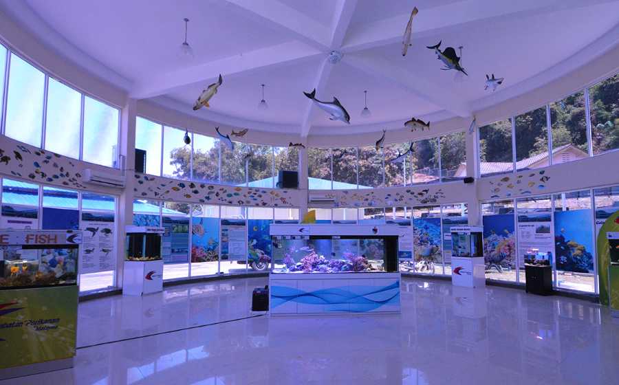 pusat ikan hiasan port dickson (1)