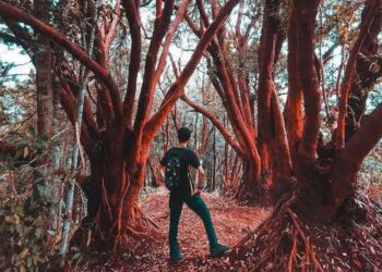 tempat menarik pahang