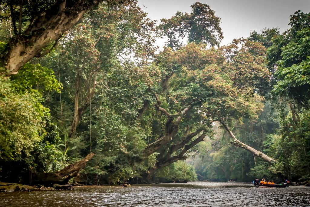 taman negara pahang