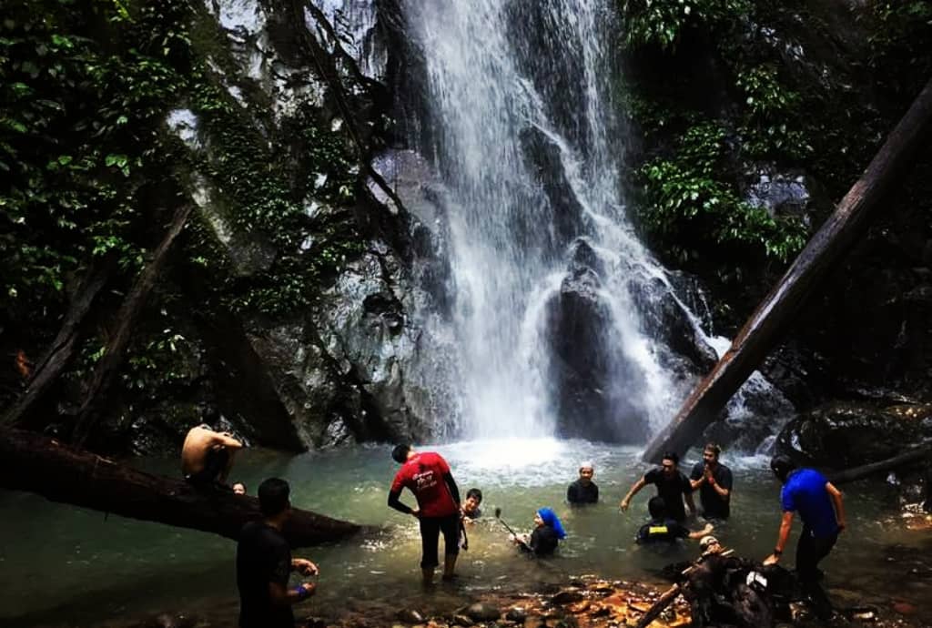 taman negara sungai relau