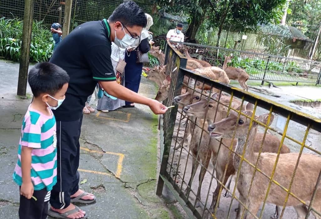 taman rusa lanchang di temerloh