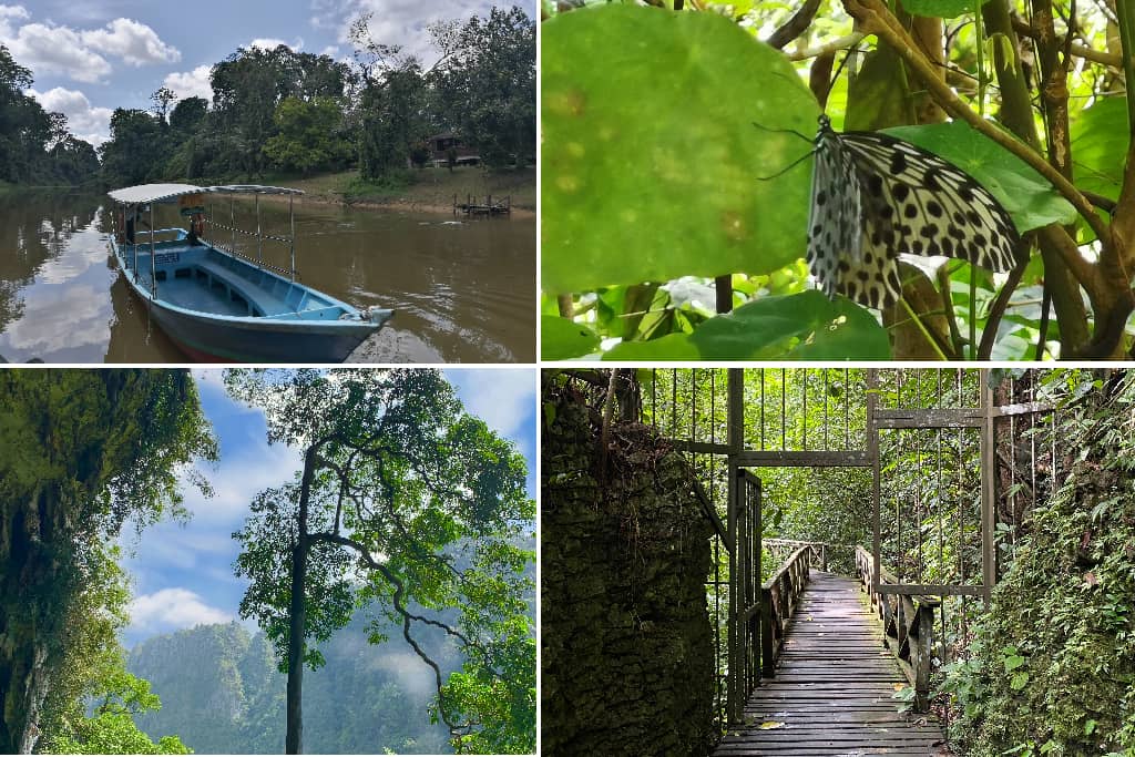 Pemandangan Taman Negara Niah Miri
