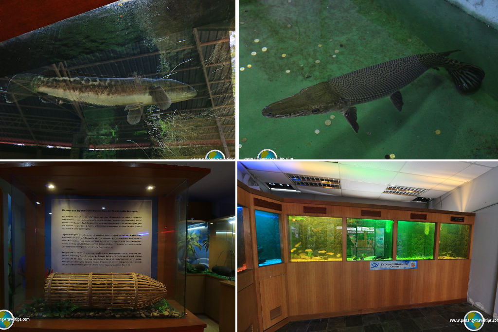 Taman Ikan Air Tawar Selangor