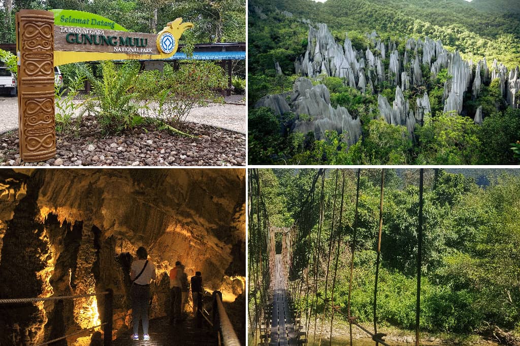 Taman Negara Gunung Mulu di Miri