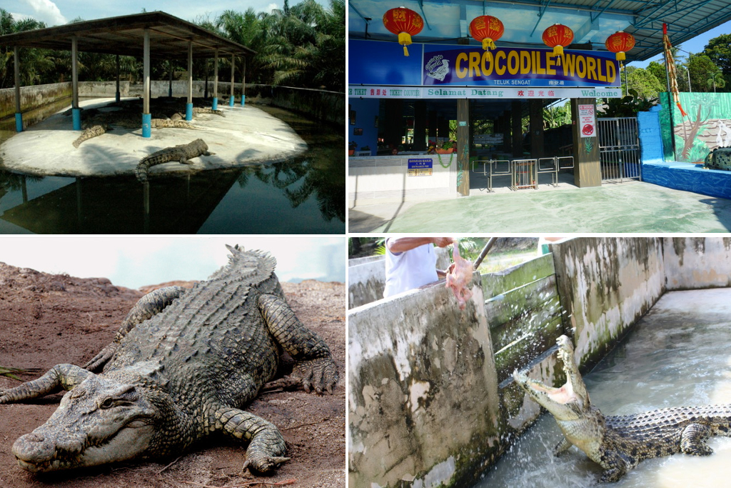 Taman Buaya Teluk Sengat