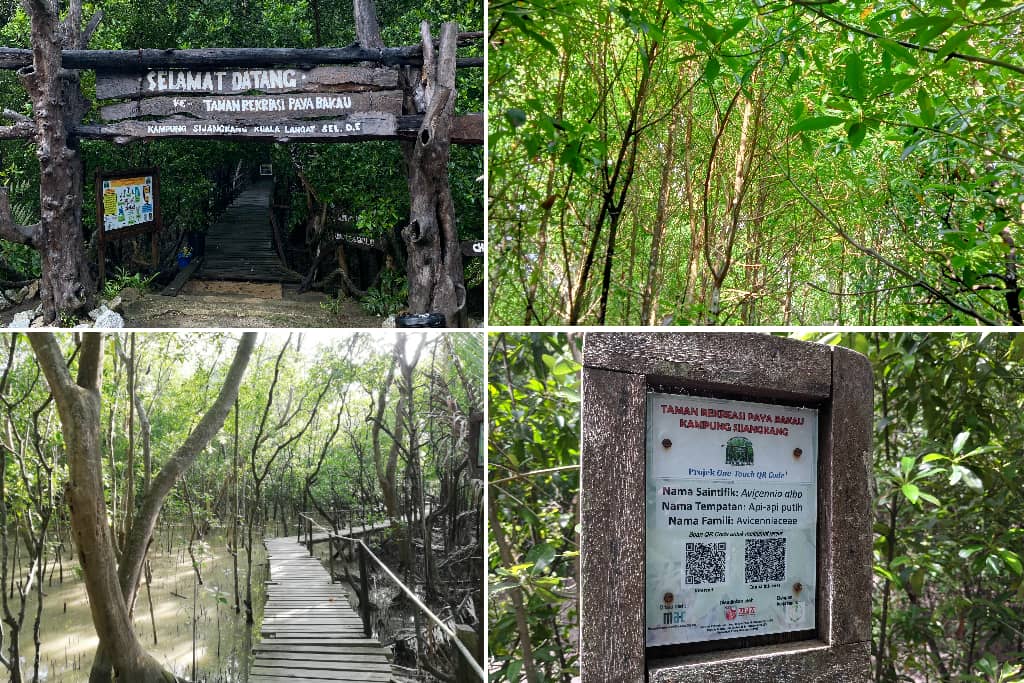 Taman Rekreasi Paya Bakau Kampung Sijangkang