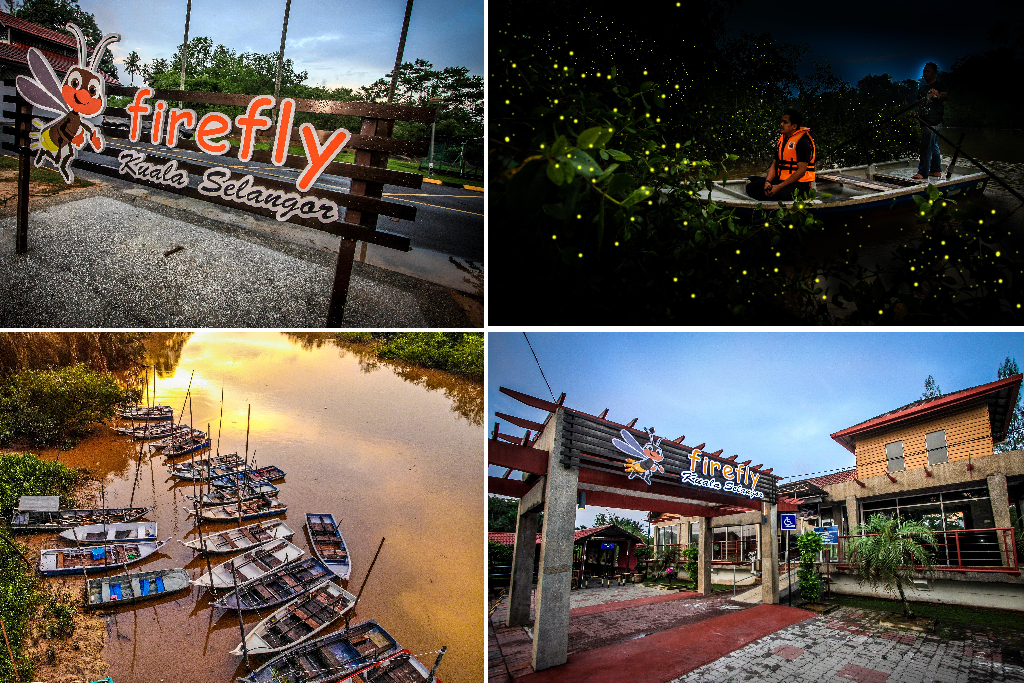 Kelip-Kelip Kampung Kuantan