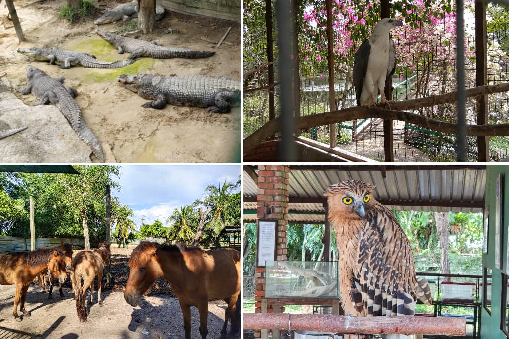 Miri Crocodile Farm Wildlife Mini Zoo