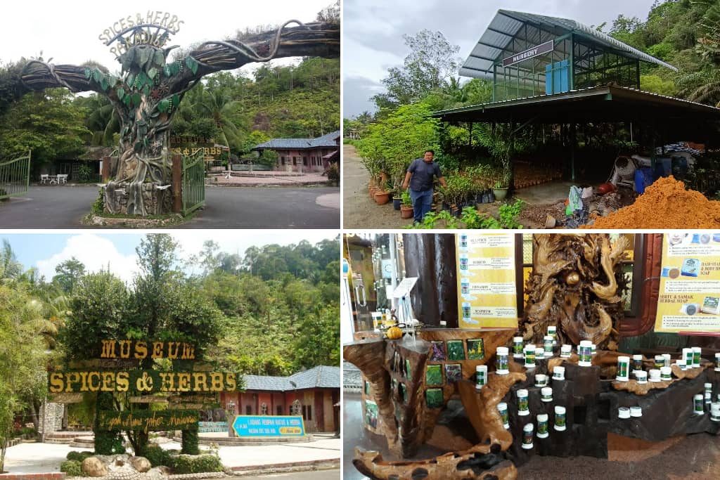 Ladang Herba Nasuha (1)