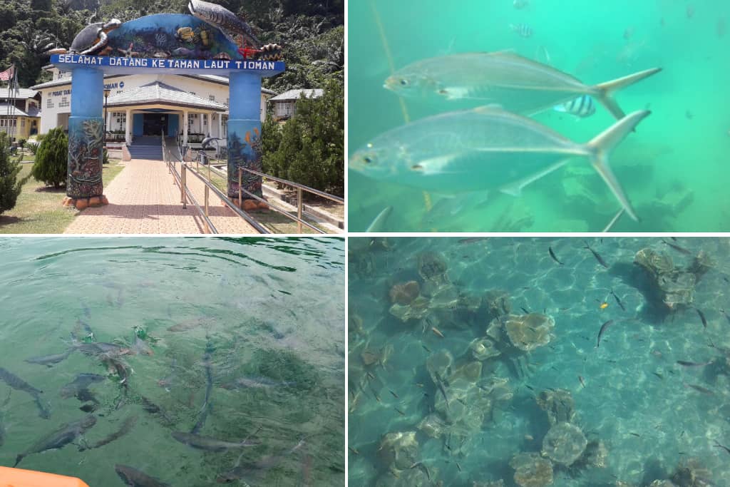 Pusat Taman Laut Tioman