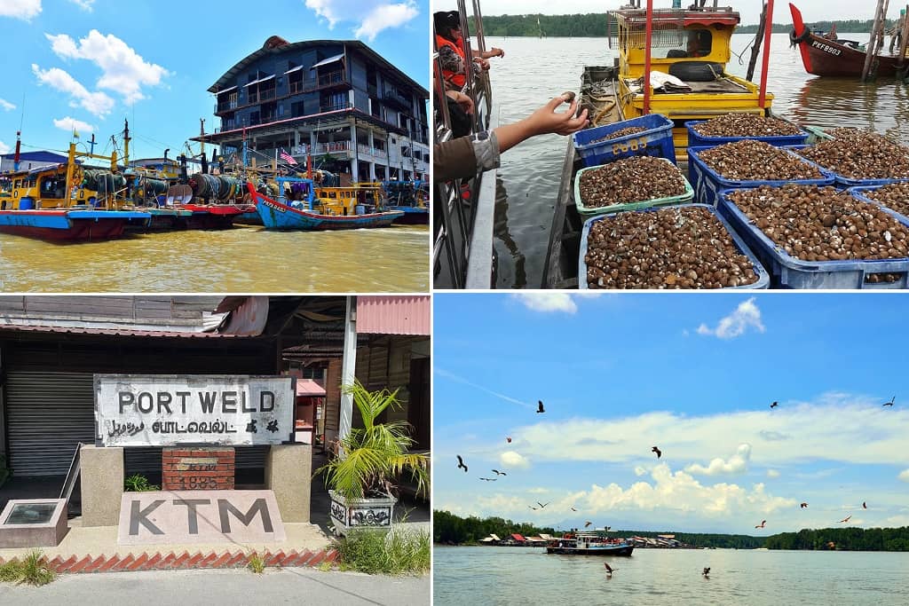 aktiviti di kuala sepetang taiping