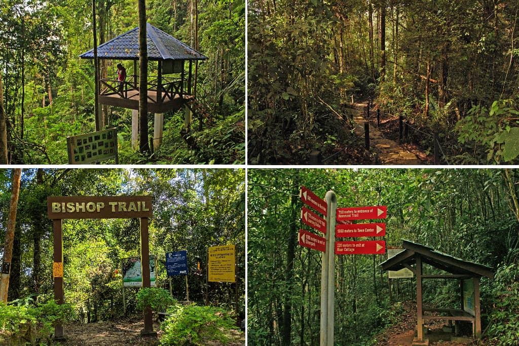bishop trail di bukit fraser