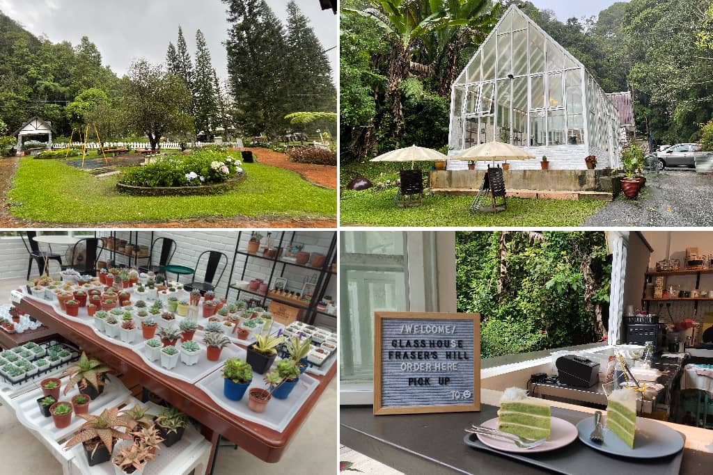 glasshouse di fraser hill 1 (1)