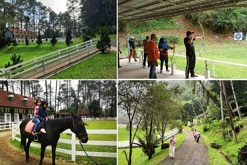 ladang kuda di bukit fraser