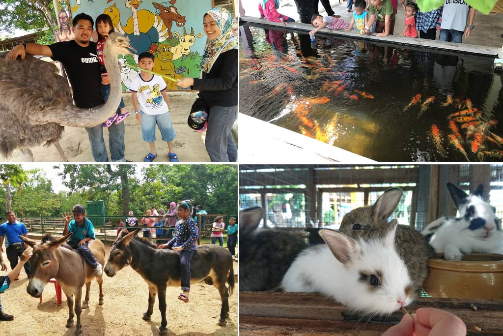 ostrich farm pd (1)