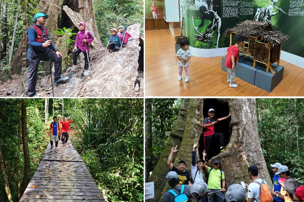pd forest sungai menyala di negeri sembilan